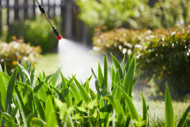 24/7 Emergency Mosquito Control experts in Eldon, MO